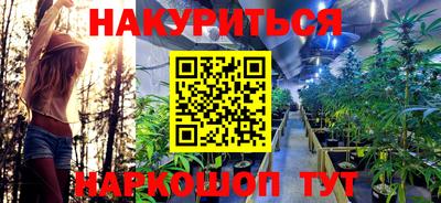 дмт Камышлов