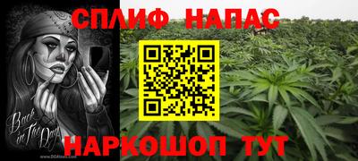 винт Канаш