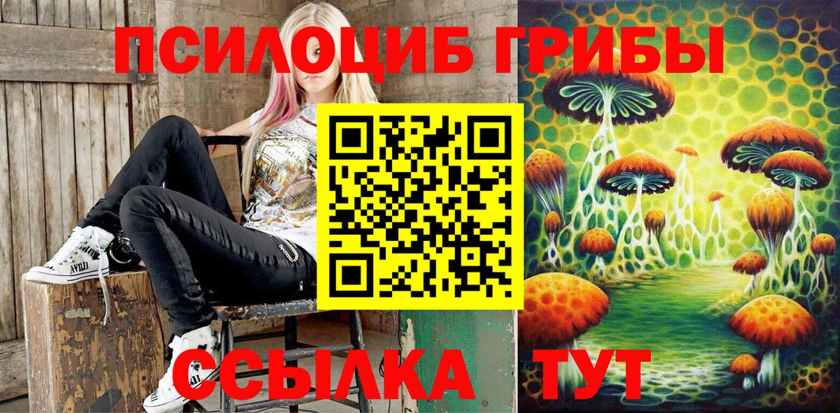 Видное  Псилоцибиновые грибы мицелий  Вход с VPN  Галлюциногенные грибы Psilocybine cubensis 